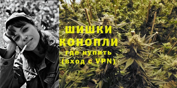 эйфоретик Богданович